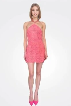 Dory Short Dress In Coral