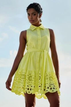 Lace Collared Dress In Yellow