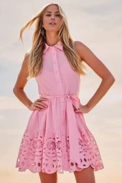 Lace Collared Dress In Pink